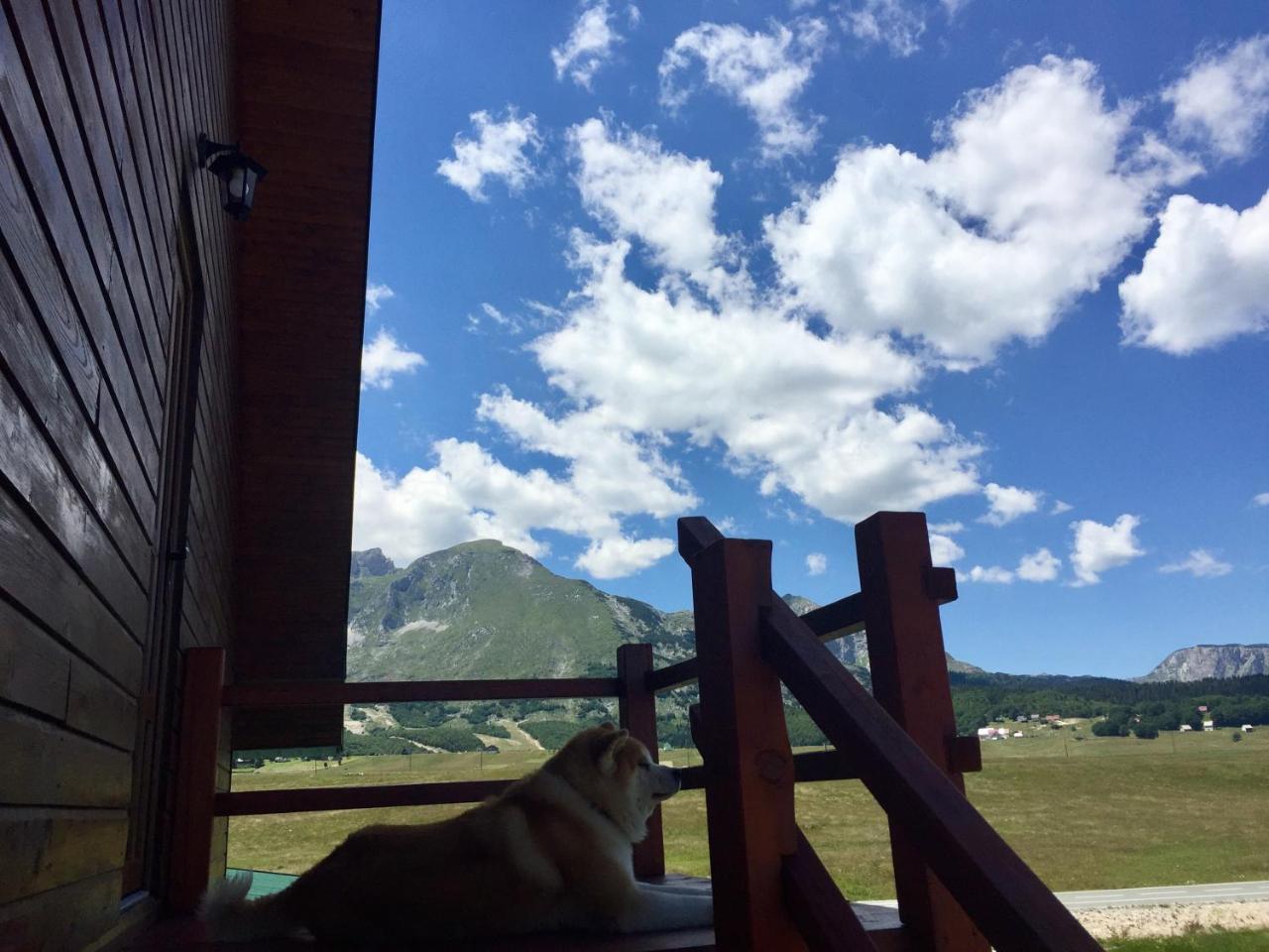 B&B Izvor Žabljak 外观 照片